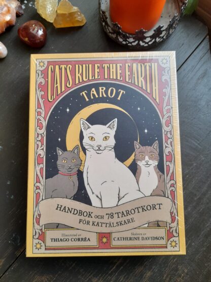 Cats Rule The Earth Tarot